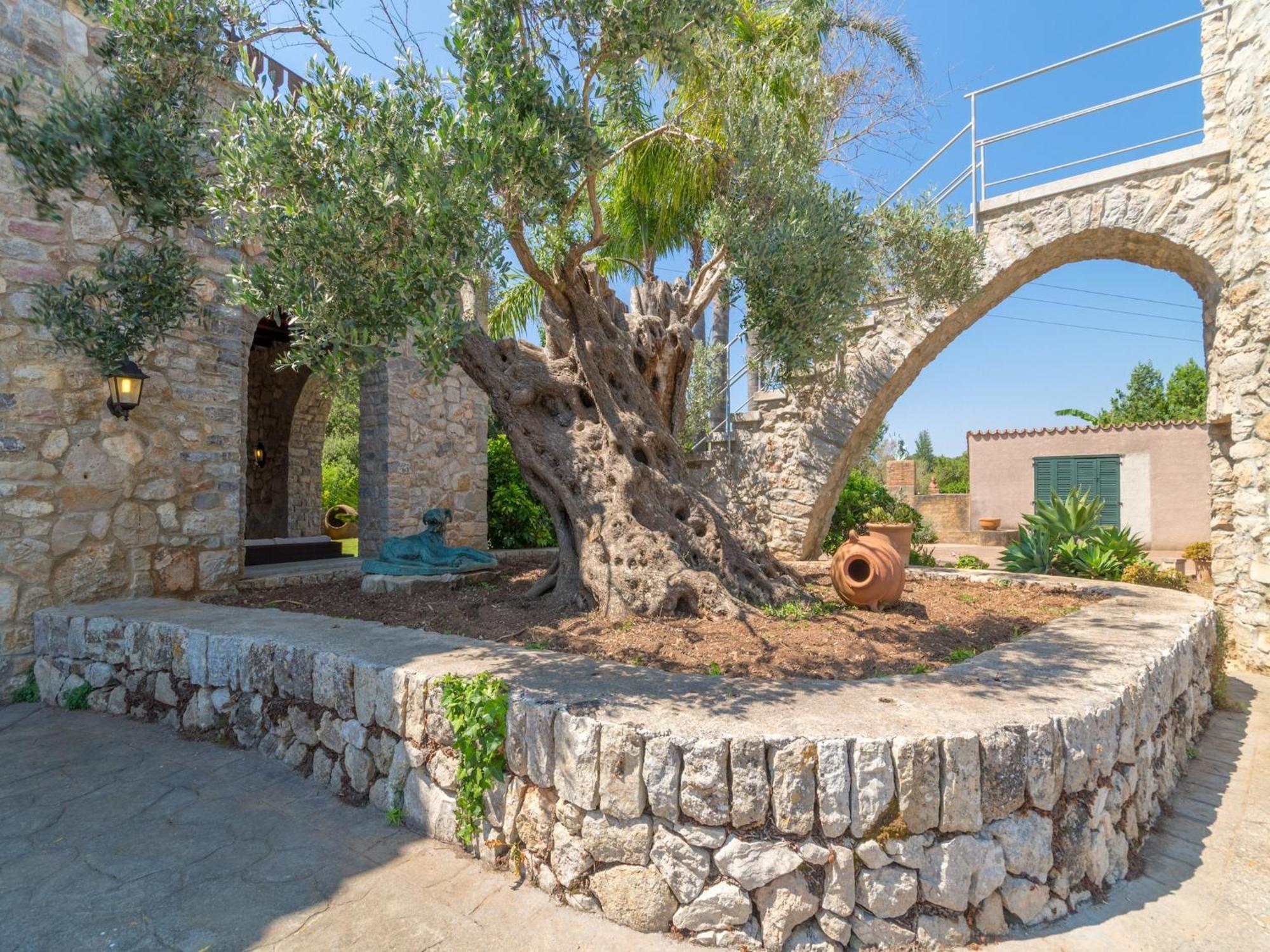 Charming In * Arta